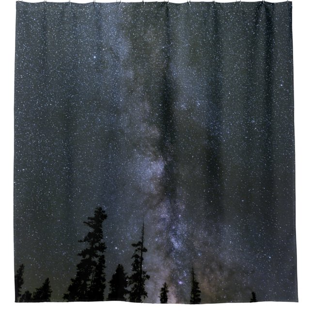 Beautiful Cosmos Shower Curtain (Front)
