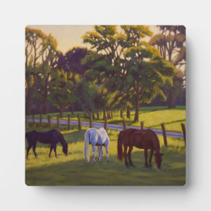 Beautiful Country Horses Grazing  Poster Plaque
