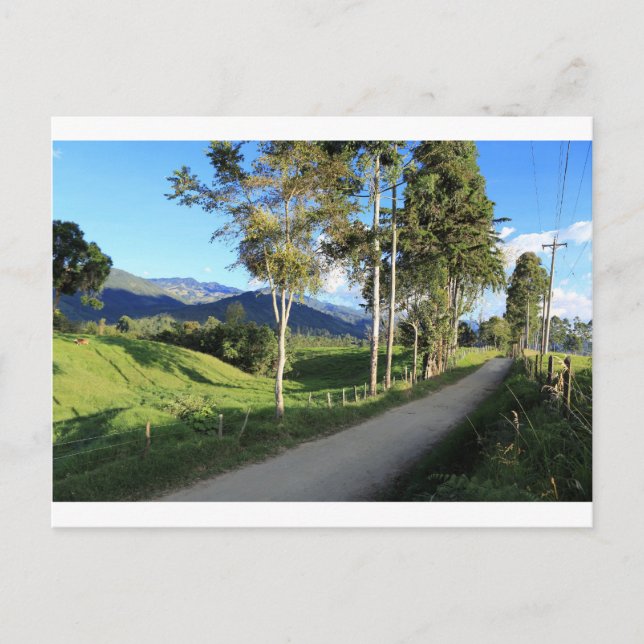 Beautiful country road Salento Colombia Postcard (Front)