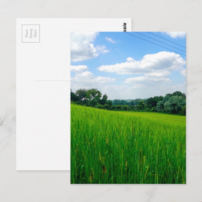 Beautiful countryside postcard (Front/Back)