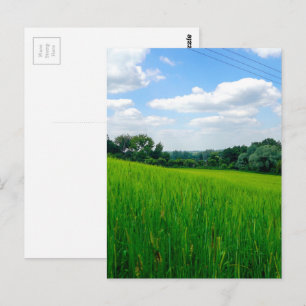 Beautiful countryside postcard