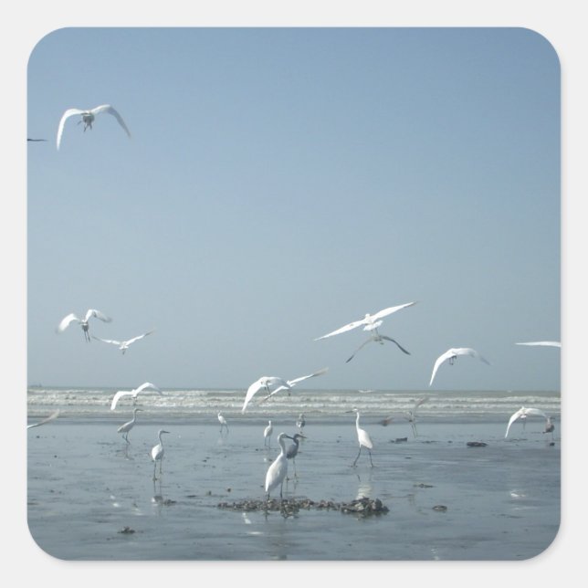 Beautiful Cranes Flying Over Water Nature's Ballet Square Sticker (Front)