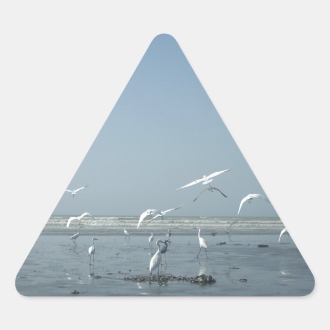 Beautiful Cranes Flying Over Water Nature's Ballet Triangle Sticker (Front)