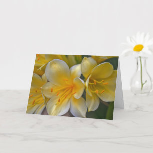 Beautiful Cream Yellow Gold Lily Flowers Art Card