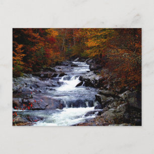 Beautiful creek nature scenery postcard