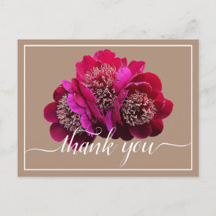 Beautiful Crimson Peonies Colour Backdrop Thank Yo Postcard