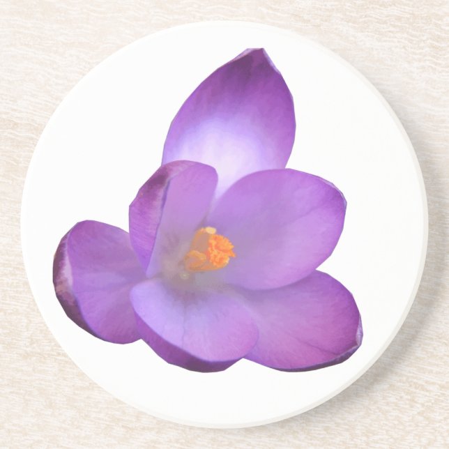 Beautiful Crocus Flower Coasters (Front)