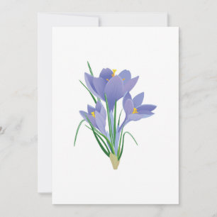 Beautiful crocus Flower Holiday Card