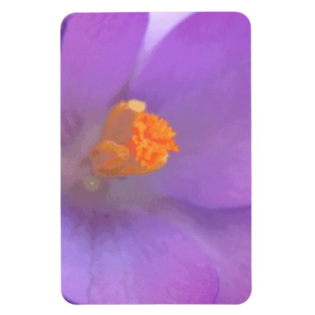 Beautiful Crocus Premium Magnet (Vertical)