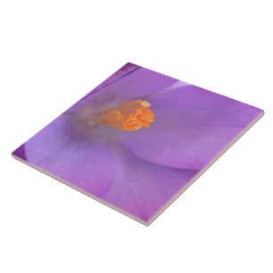 Beautiful Crocus Tile