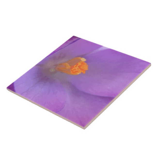 Beautiful Crocus Tile (Side)