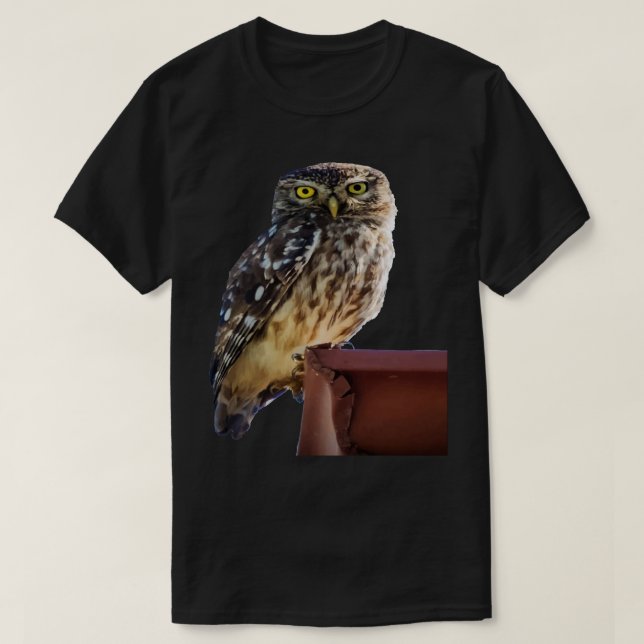 Beautiful Cute Barn Owl Staring With Wide Yellow E T-Shirt (Design Front)