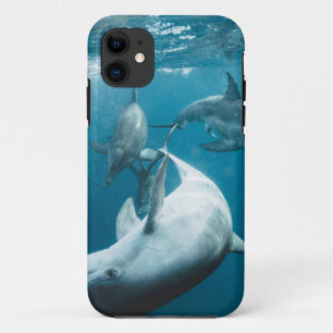 Beautiful Cute Dolphins Case-Mate iPhone Case