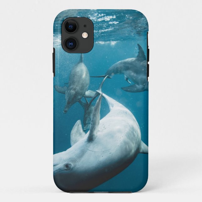 Beautiful Cute Dolphins Case-Mate iPhone Case (Back)