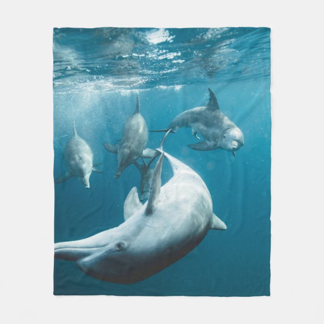 Beautiful Cute Dolphins Fleece Blanket (Front)