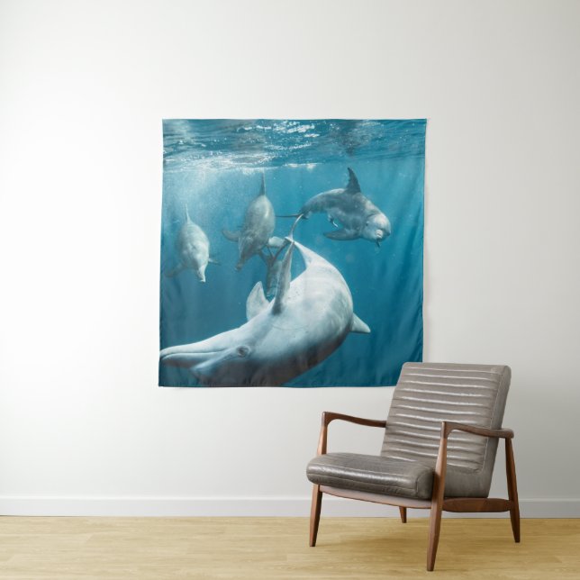 Beautiful Cute Dolphins Tapestry (In Situ)
