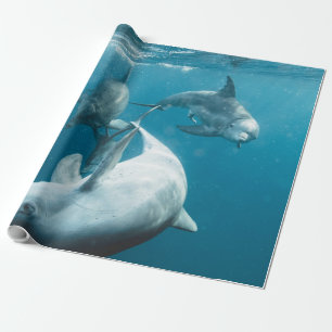 Beautiful Cute Dolphins Wrapping Paper
