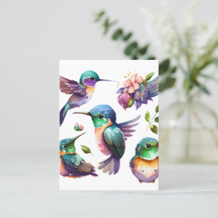 Beautiful & Cute Hummingbirds for Bird Lovers on Postcard