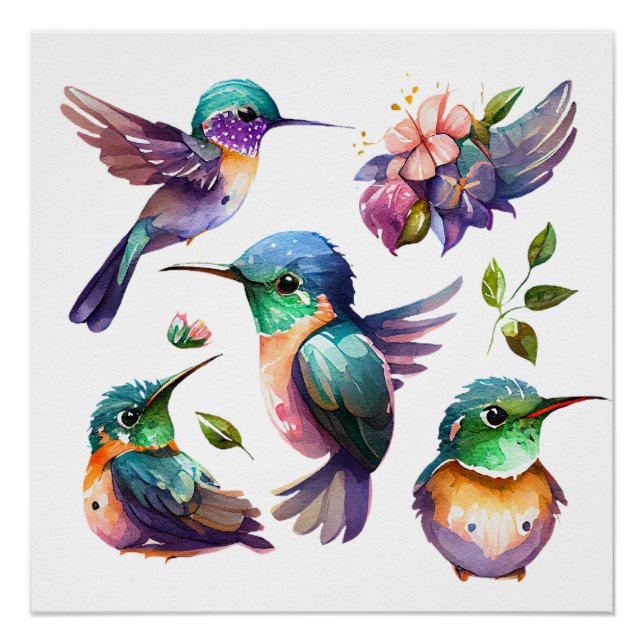 Beautiful & Cute Hummingbirds for Bird Lovers on   Poster (Front)