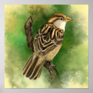 Beautiful Cute Little Sparrow Migned Painting Art Poster