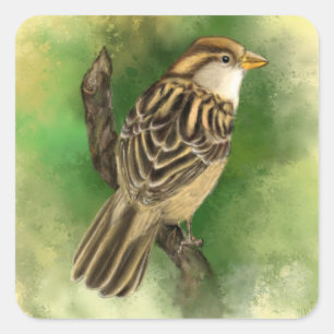 Beautiful Cute Little Sparrow Migned Painting Art  Square Sticker
