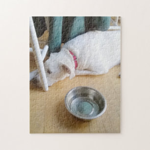 Beautiful Cute White Puppy Hiding Under Chair Jigsaw Puzzle