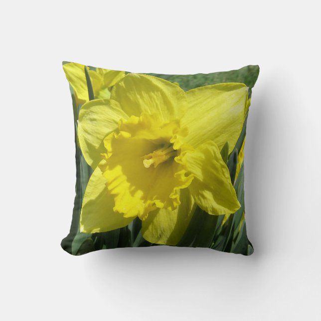 Beautiful daffodil cushion (Front)