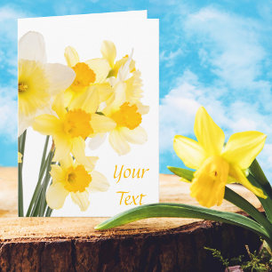 Beautiful Daffodils Greeting Card