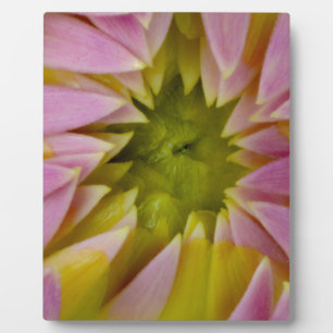 Beautiful Dahlia Plaque