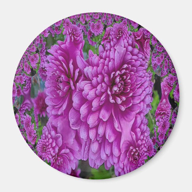 Beautiful Dahlias....... Magnet (Front)