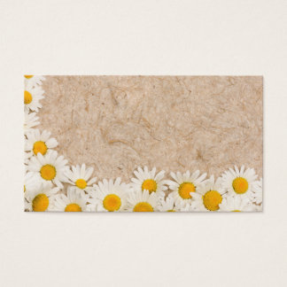 Beautiful daisies