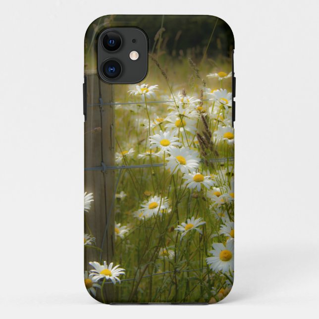 Beautiful Daisies iPhone 5 Barely There Case (Back)