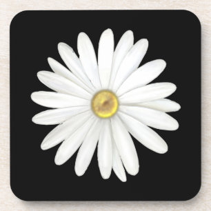Beautiful Daisy Flower on Black Coaster