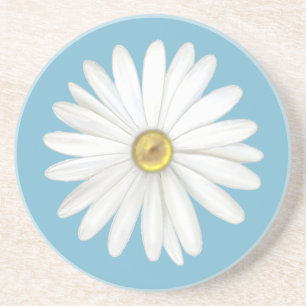 Beautiful Daisy Flower on Teal Turquoise Coaster