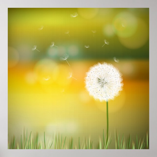 Beautiful dandelion spring illustration poster (Front)