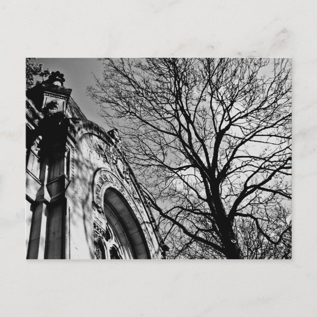 Beautiful day in the cemetery in black and white postcard (Front)