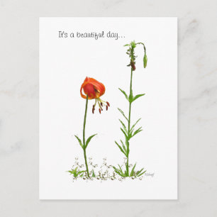 Beautiful Day... Postcard