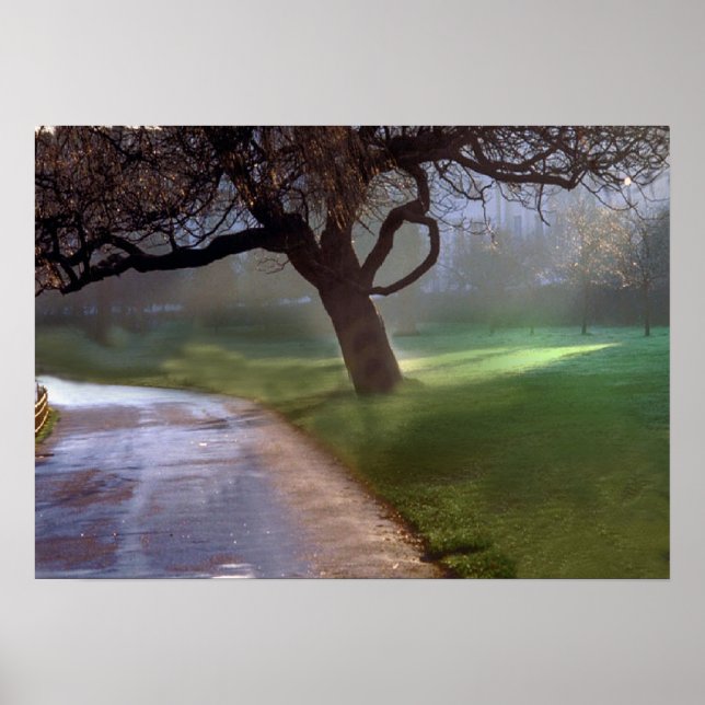 Beautiful day poster (Front)