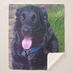 Beautiful Day Sherpa Blanket