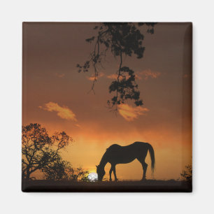 Beautiful Day Sunrise With Horse Magnet