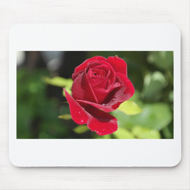 Beautiful Deep Red Rose Mouse Pad (Front)