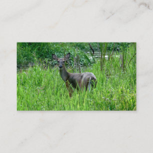 Beautiful Deer Business Cards