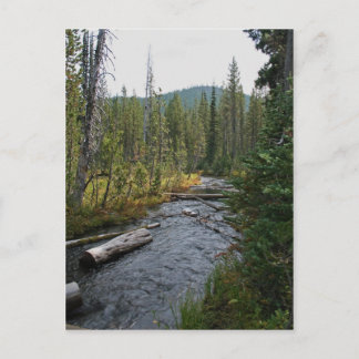 Beautiful Deschutes River Oregon Postcard
