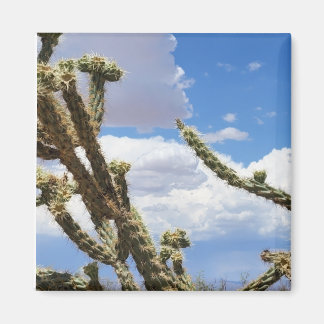 Beautiful Desert Cactus Photo Magnet