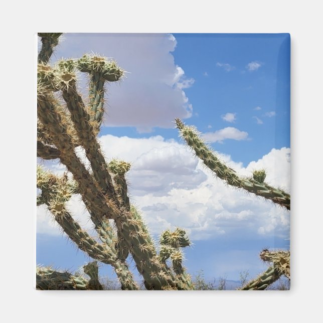 Beautiful Desert Cactus Photo Magnet (Front)