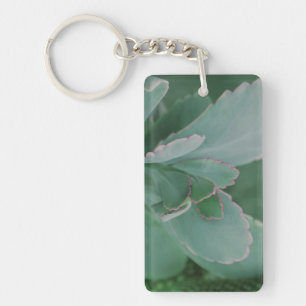 Beautiful Desert Plant Art Photograph Key Ring