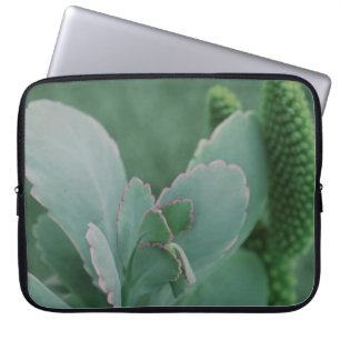 Beautiful Desert Plant Art Photograph Laptop Sleeve