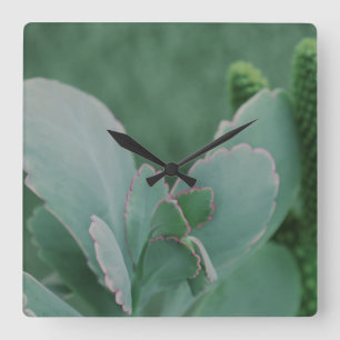 Beautiful Desert Plant Art Photograph Square Wall Clock
