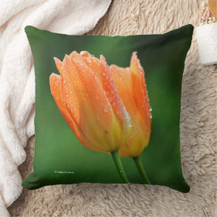 Beautiful Dew-Kissed Pastel Orange Tulips Cushion