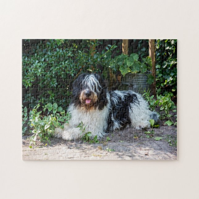 beautiful dog jigsaw puzzle (Horizontal)